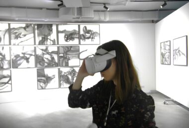 Моя територія