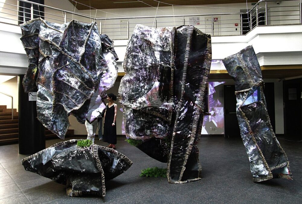 Моя територія 4