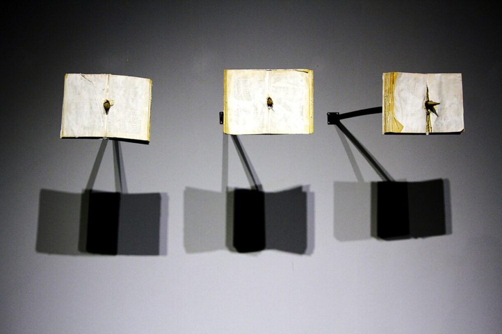 Моя територія 6