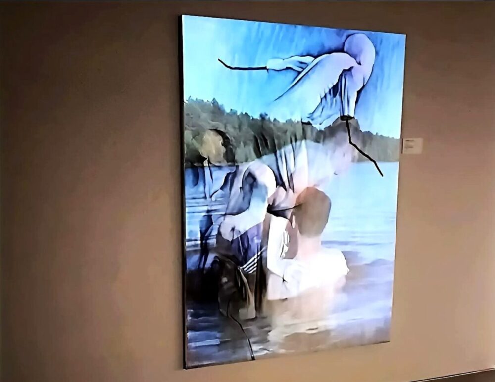 Моя територія 1