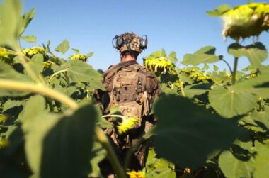 «Одного літа в Україні»