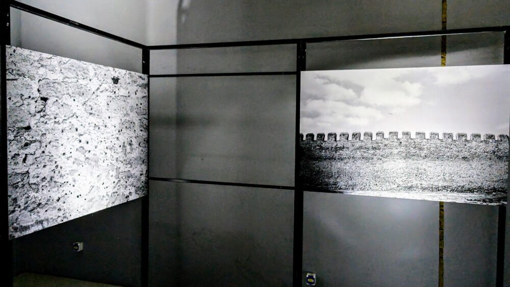 культурна програма LMF