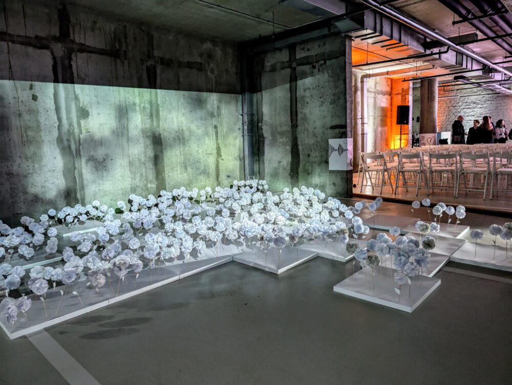 культурна програма LMF