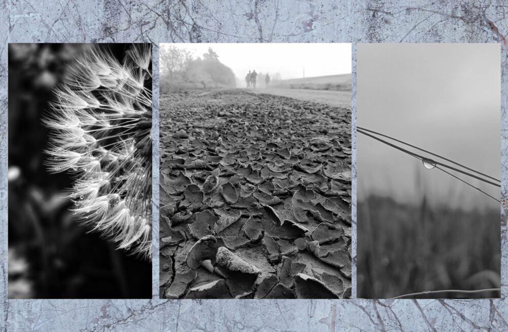 «Абидобраніч» Кіт Характерник