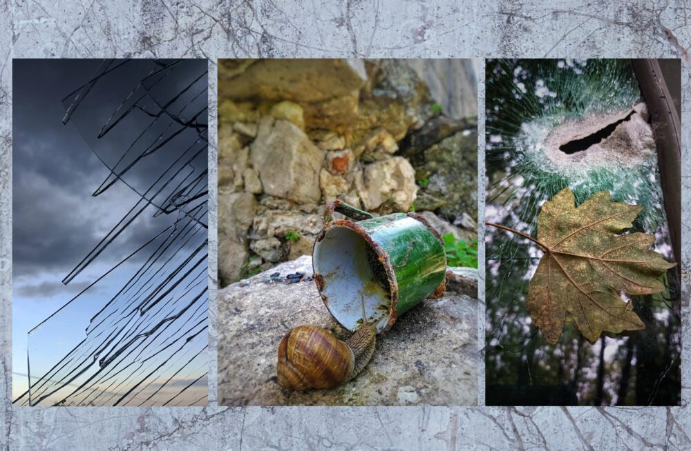 «Абидобраніч» Кіт Характерник