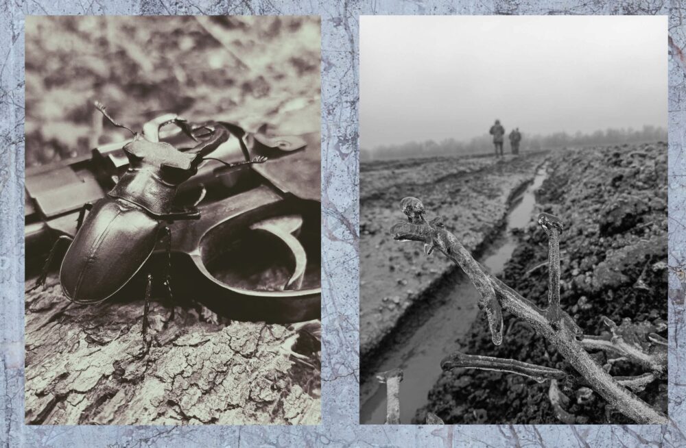 «Абидобраніч» Кіт Характерник