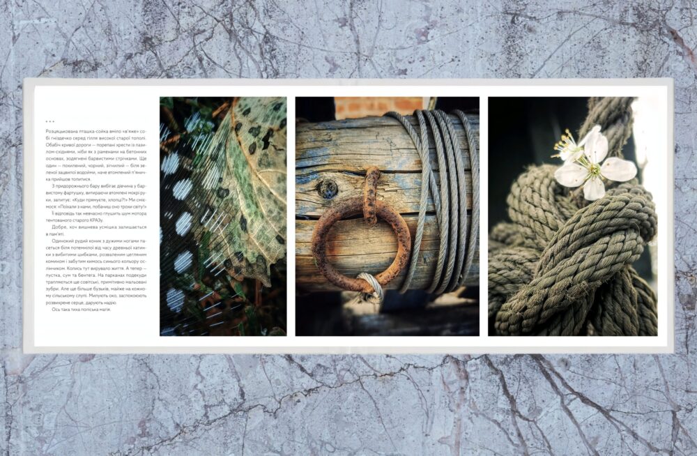 «Абидобраніч» Кіт Характерник